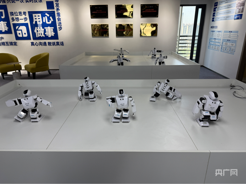 博士一样聪明 像家电一样便宜”的人形机器人九游会j9ag青春当奋斗 王松：打造“像(图2)